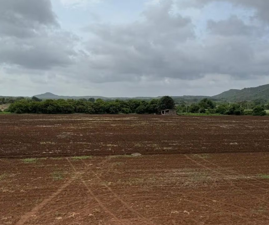 Open and spacious residential plots in Dharuhera